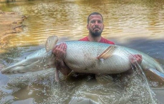 Alligator Gar Fishing in Dallas, Texas