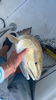 Fishing in Corpus Christi, Texas