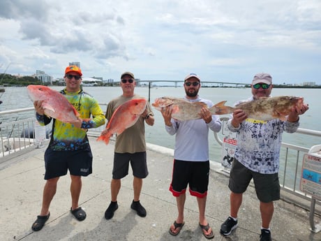 Fishing in New Port Richey, Florida