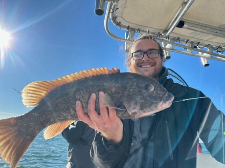 Fishing in Westport, Massachusetts