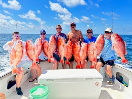 Red Snapper Fishing in Biloxi, Mississippi