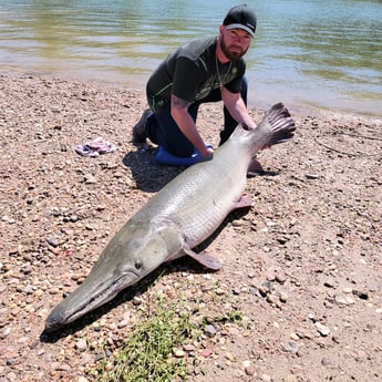 Alligator Gar fishing in Coldspring, Texas