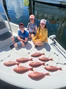 Red Snapper fishing in Panama City, Florida