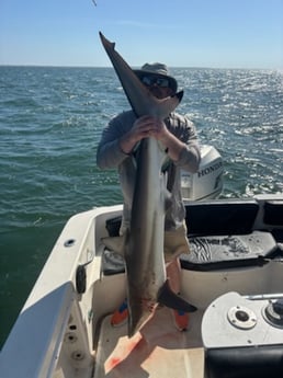 Fishing in Coden, Alabama