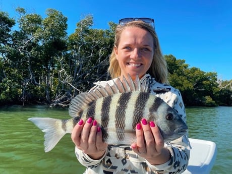 Sheepshead Fishing in Tavernier, Florida