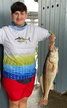 Redfish fishing in Tiki Island, Texas