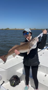 Redfish fishing in St. Bernard, Louisiana