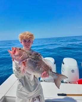 Fishing in Sarasota, Florida