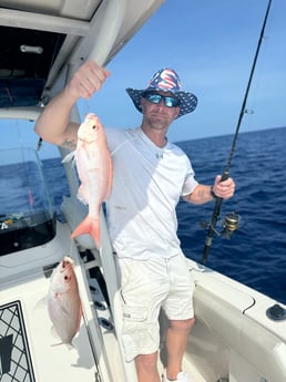 Fishing in Mount Pleasant, South Carolina