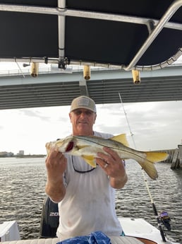 Snook Fishing in Port Orange, Florida