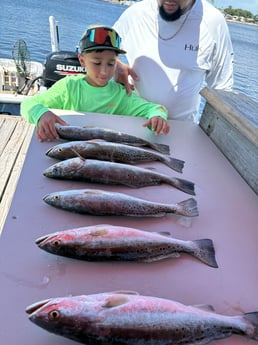 Fishing in Houston, Texas