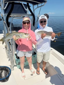 Fishing in Bartow, Florida