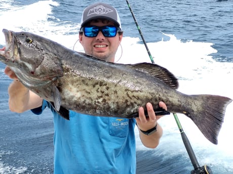 Gag Grouper Fishing in Fernandina Beach, Florida