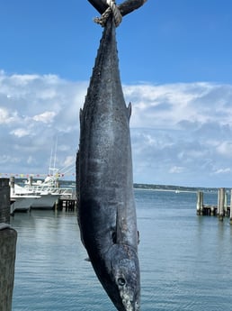 Wahoo fishing in Montauk, New York