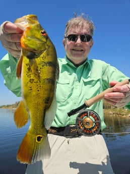 Fishing in Pembroke Pines, Florida