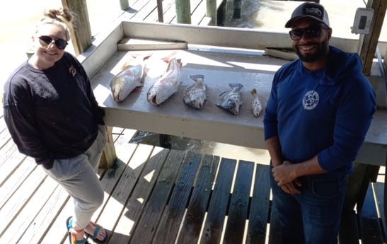 Sheepshead fishing in Houston, Texas