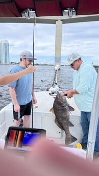 Fishing in New Smyrna Beach, Florida