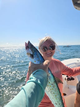 Fishing in Sarasota, Florida