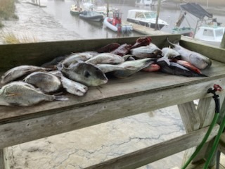 Fishing in Fernandina Beach, Florida