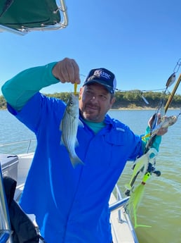 Striped Bass fishing in Pottsboro, Texas