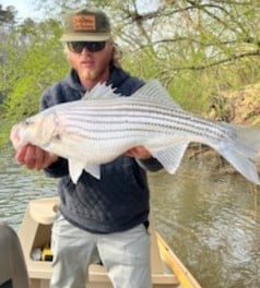 Striped Bass fishing in Roswell, Georgia