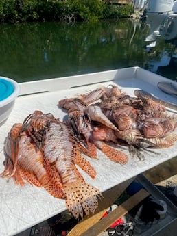 Fishing in Key West, Florida