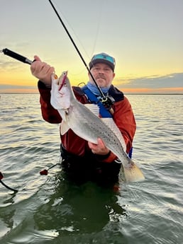Speckled Trout / Spotted Seatrout Fishing in Bay City, Texas
