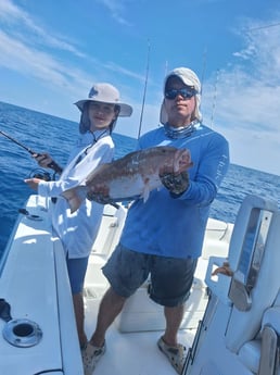 Fishing in Sarasota, Florida