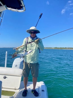 Spanish Mackerel Fishing in