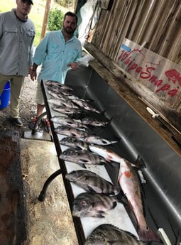 Redfish, Sheepshead Fishing in Biloxi, Mississippi, USA