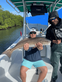 Redfish Fishing in Tampa, Florida