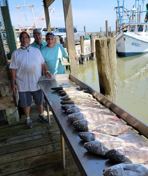 Black Drum, Speckled Trout / Spotted Seatrout fishing in San Leon, Texas