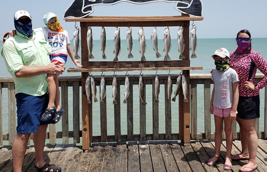 Speckled Trout / Spotted Seatrout fishing in Port Isabel, Texas