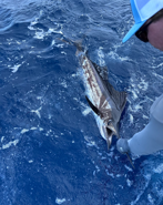 Fishing in Key West, Florida