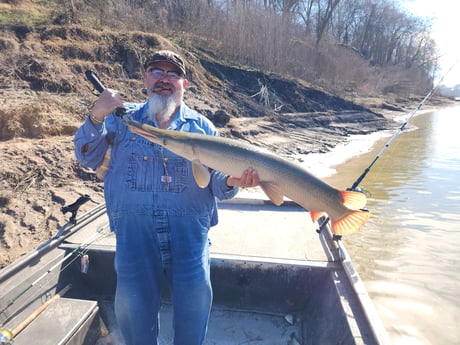 Alligator Gar Fishing in Coldspring, Texas