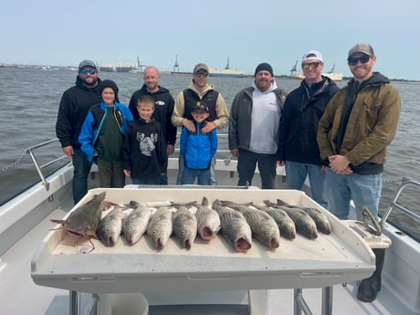 Striped Bass Fishing in