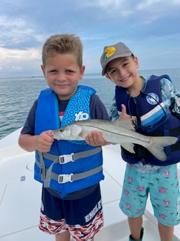 Snook fishing in Placida, Florida