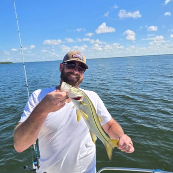 Fishing in Sarasota, Florida