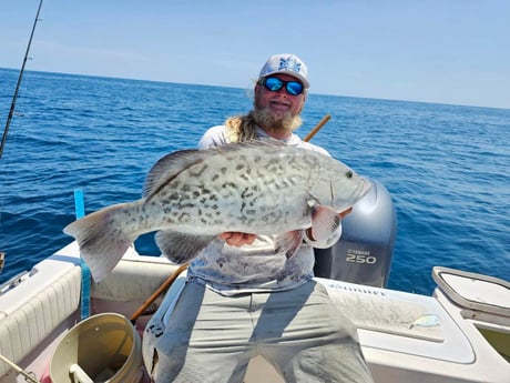 Fishing in New Port Richey, Florida