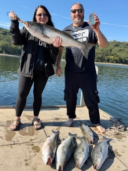 Fishing in Rogers, Arkansas