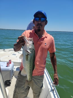 Largemouth Bass fishing in Whitney, Texas