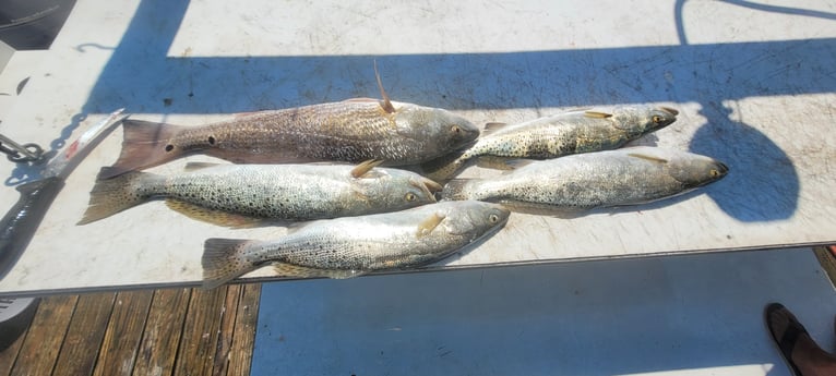 Fishing in Destin, Florida