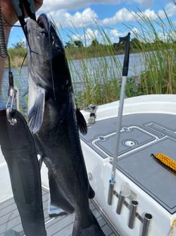 Fishing in Pembroke Pines, Florida