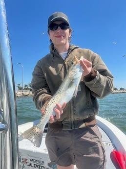 Fishing in Seminole, Florida