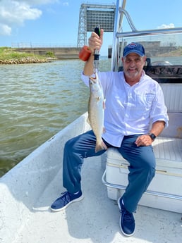 Speckled Trout / Spotted Seatrout fishing in Texas City, Texas