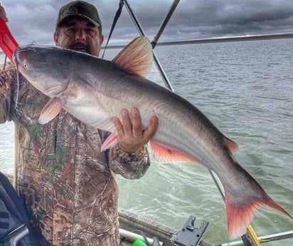 Blue Catfish Fishing in Dallas, Texas