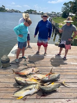 Jack Crevalle Fishing in Dauphin Island, Alabama