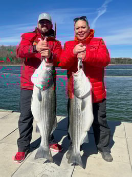 Fishing in Rogers, Arkansas