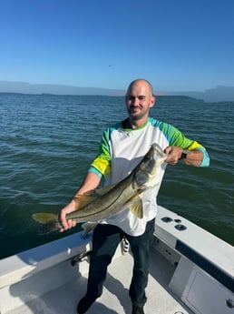 Fishing in Clearwater, Florida
