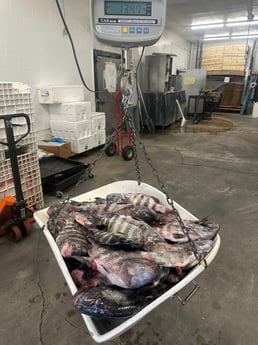 Fishing in Fernandina Beach, Florida